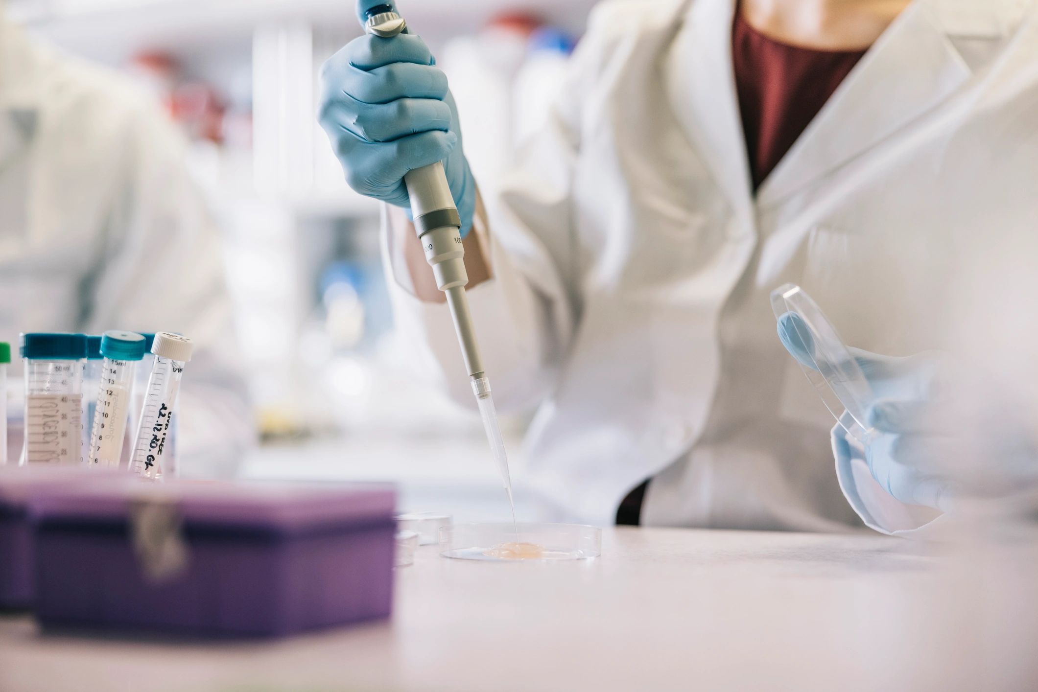 Scientist hands using a pipette at a lab bench